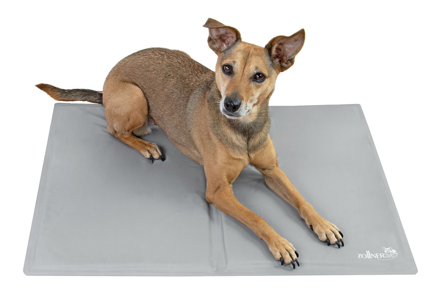 Kühlmatte für Hunde und Katzen 50x65 cm grau Hauptbild