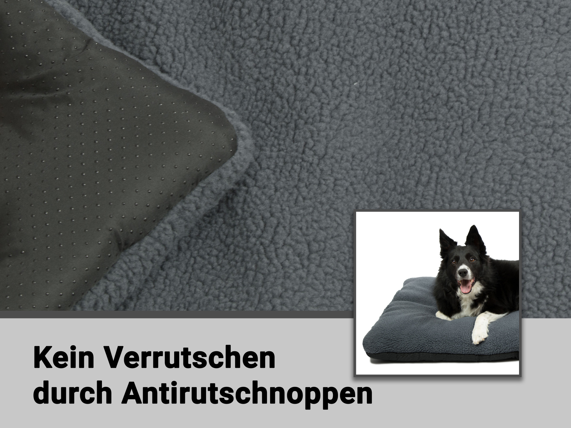 Bild_2