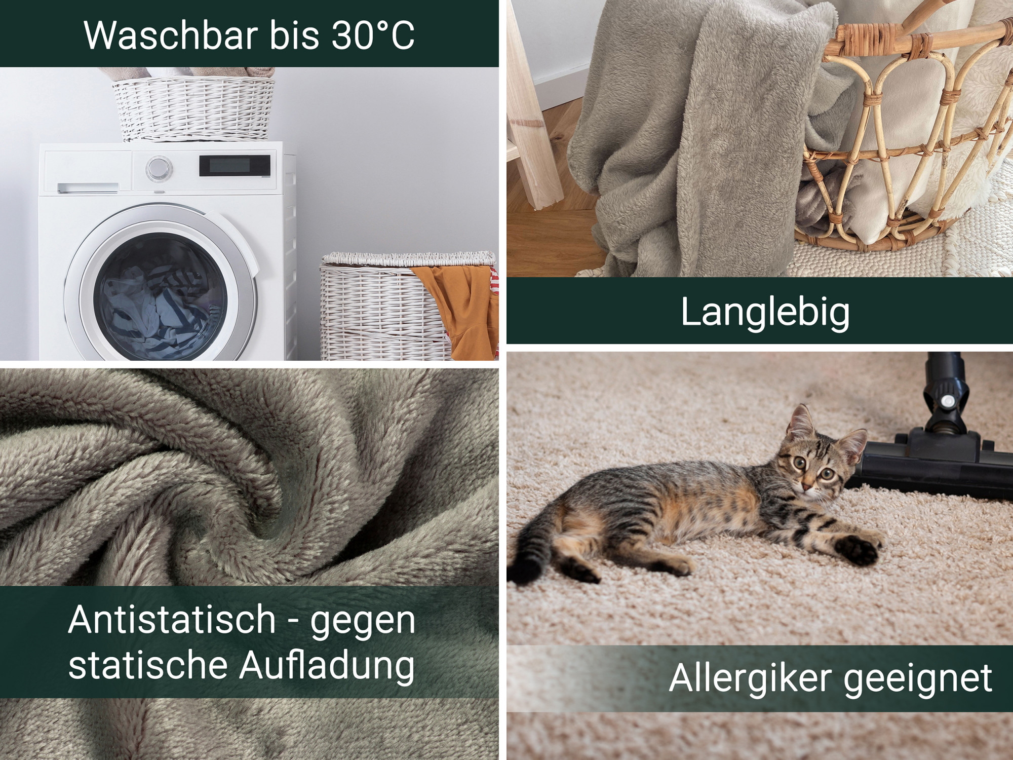 Bild_2