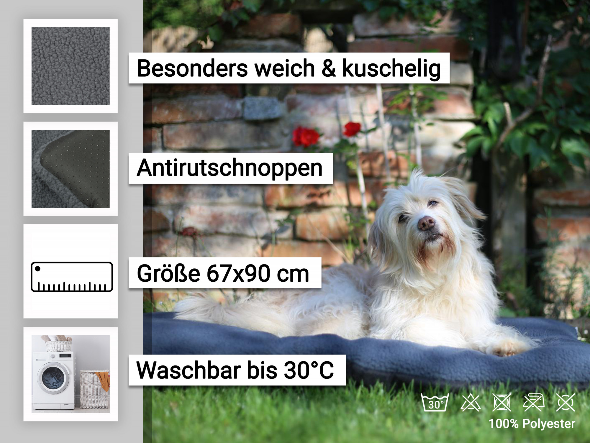 Beschreibungsbild