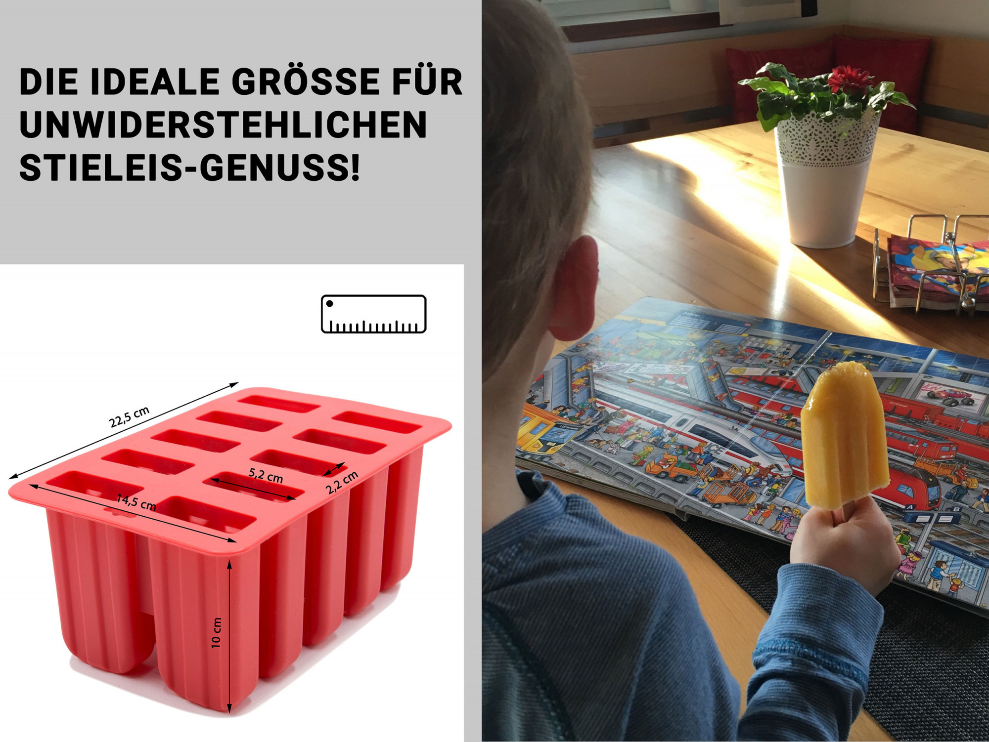 Eisformenset (Form für 10 Eis) 100 % Silikon