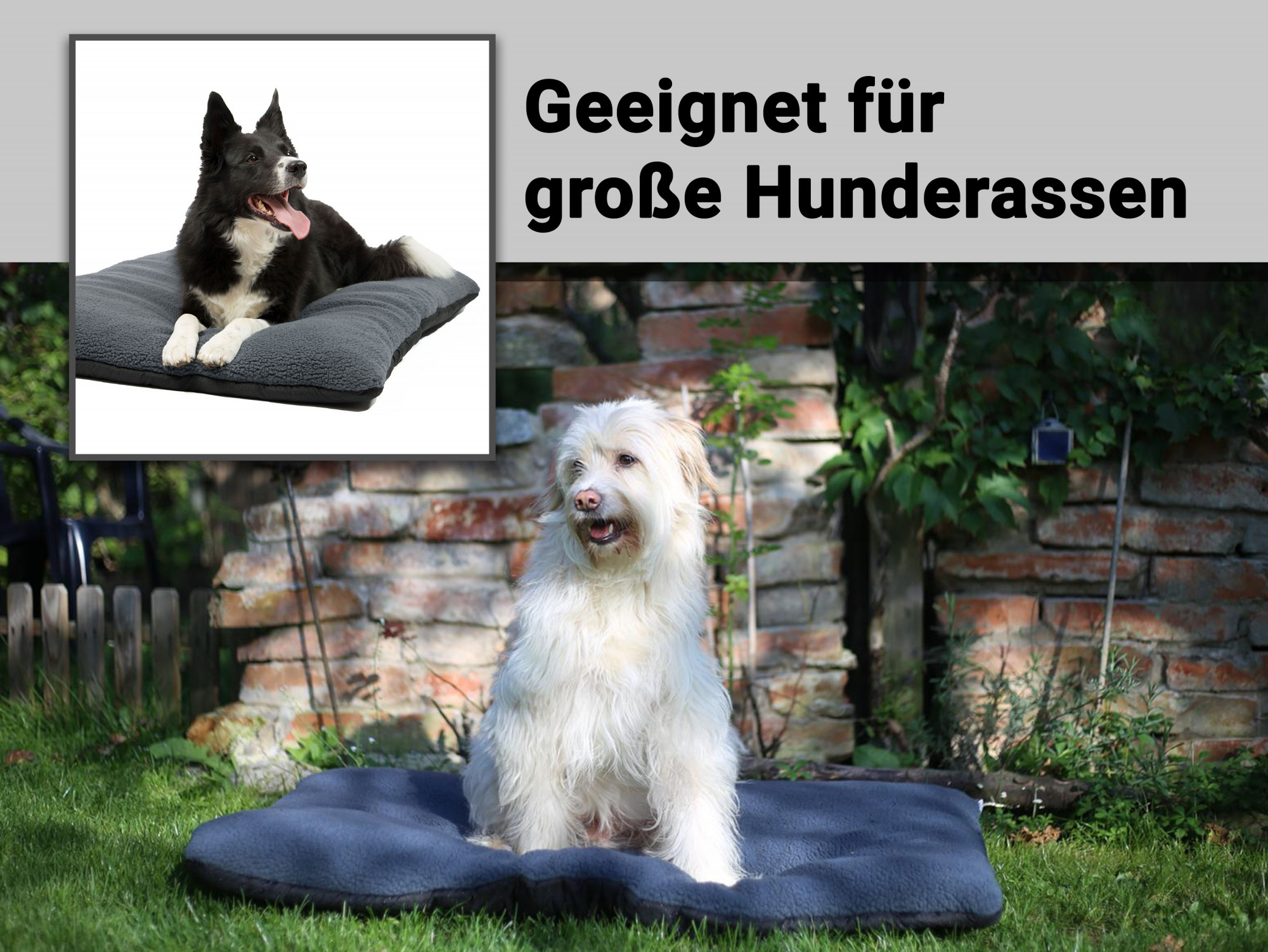 Bild_1