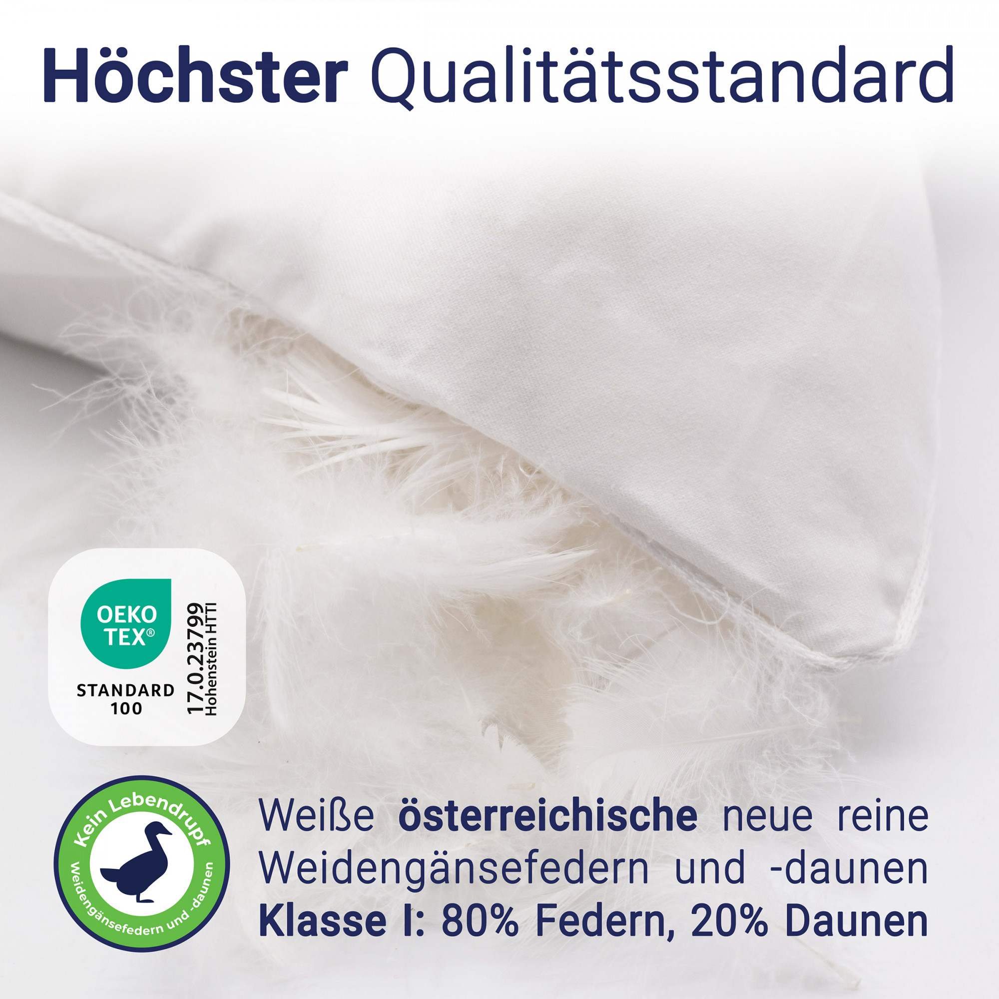 Bild_2