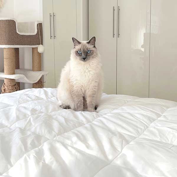 Blog_Unterschied Blog_Unterschied-Sommerdecke & Winterdecke