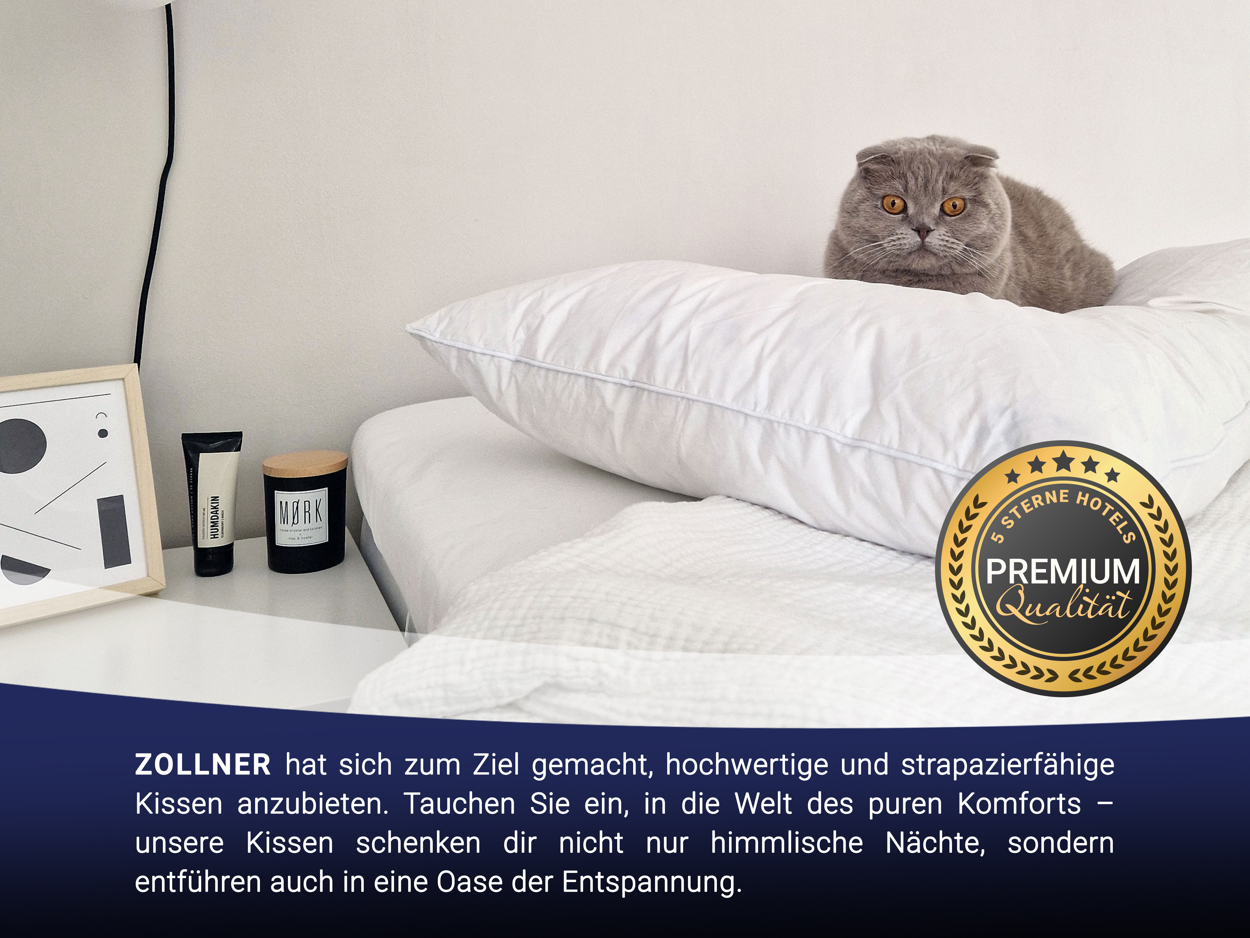 Bild_5