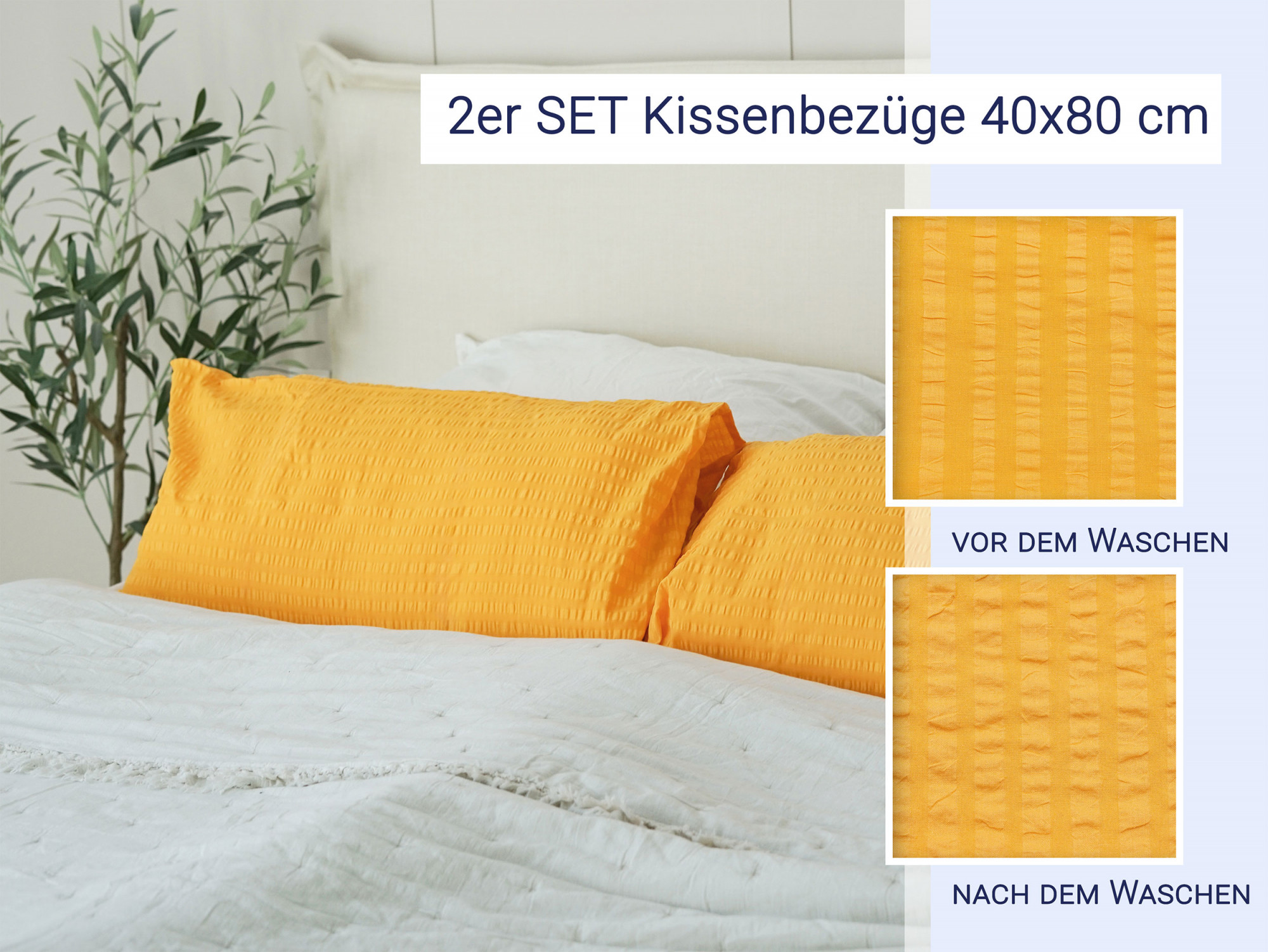 Bild_1
