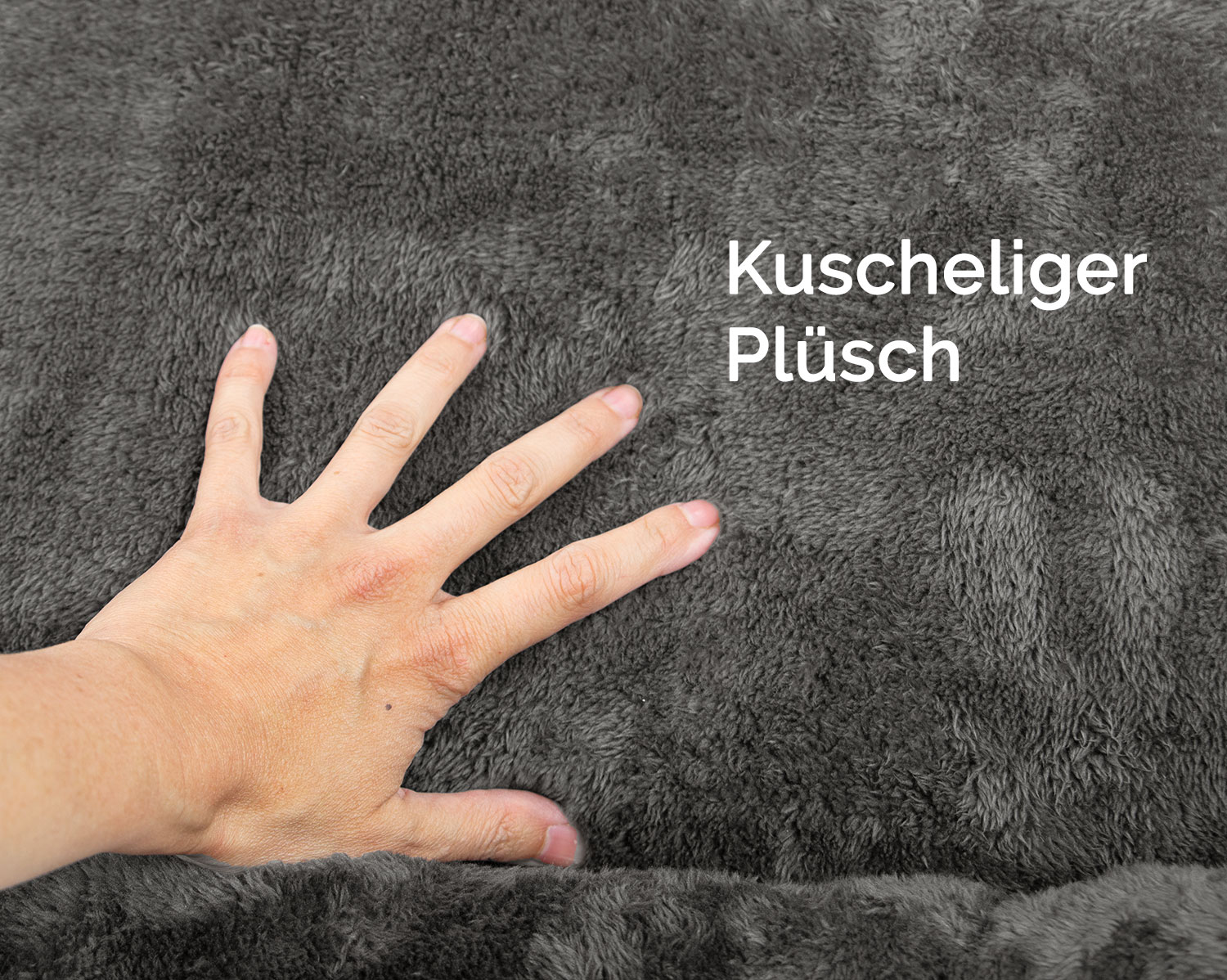 Bild_2