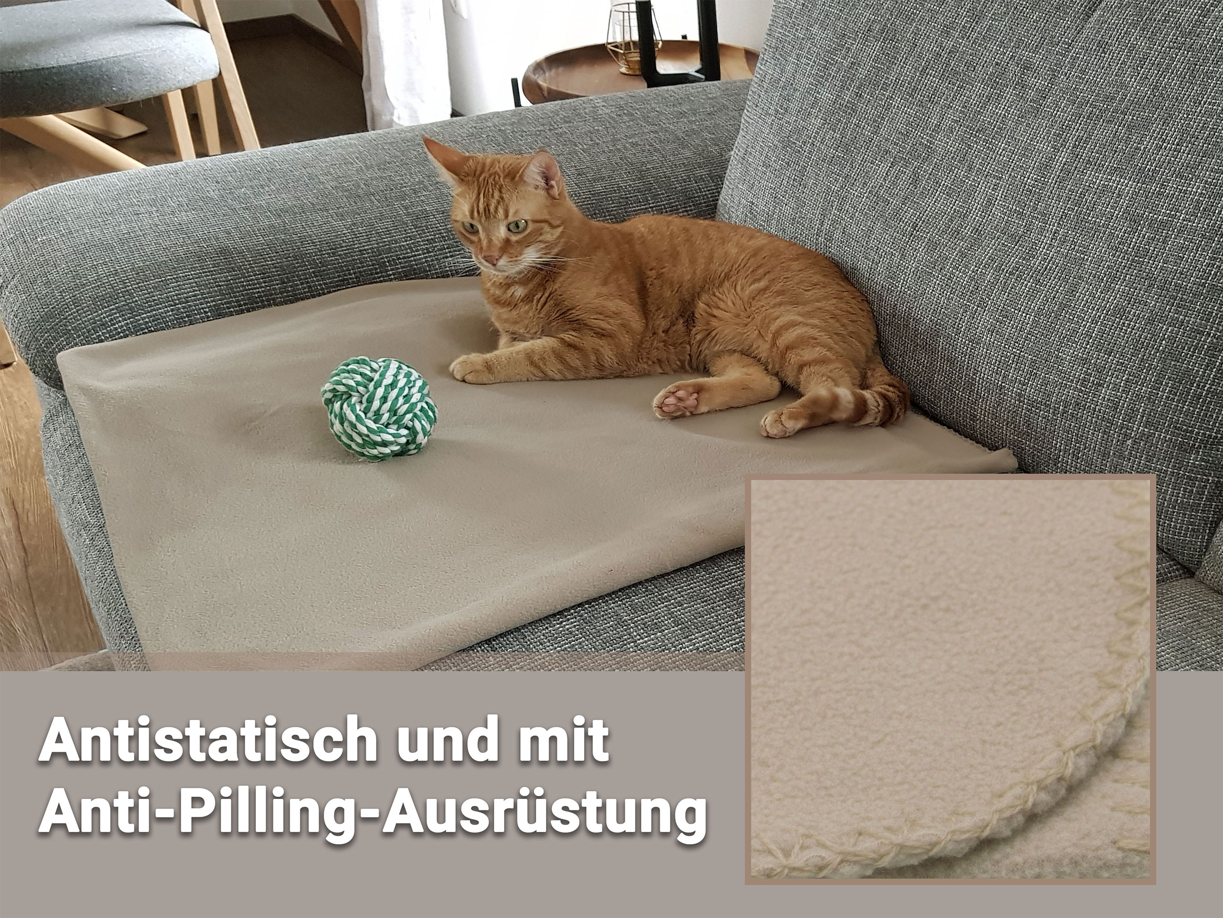 Bild_1