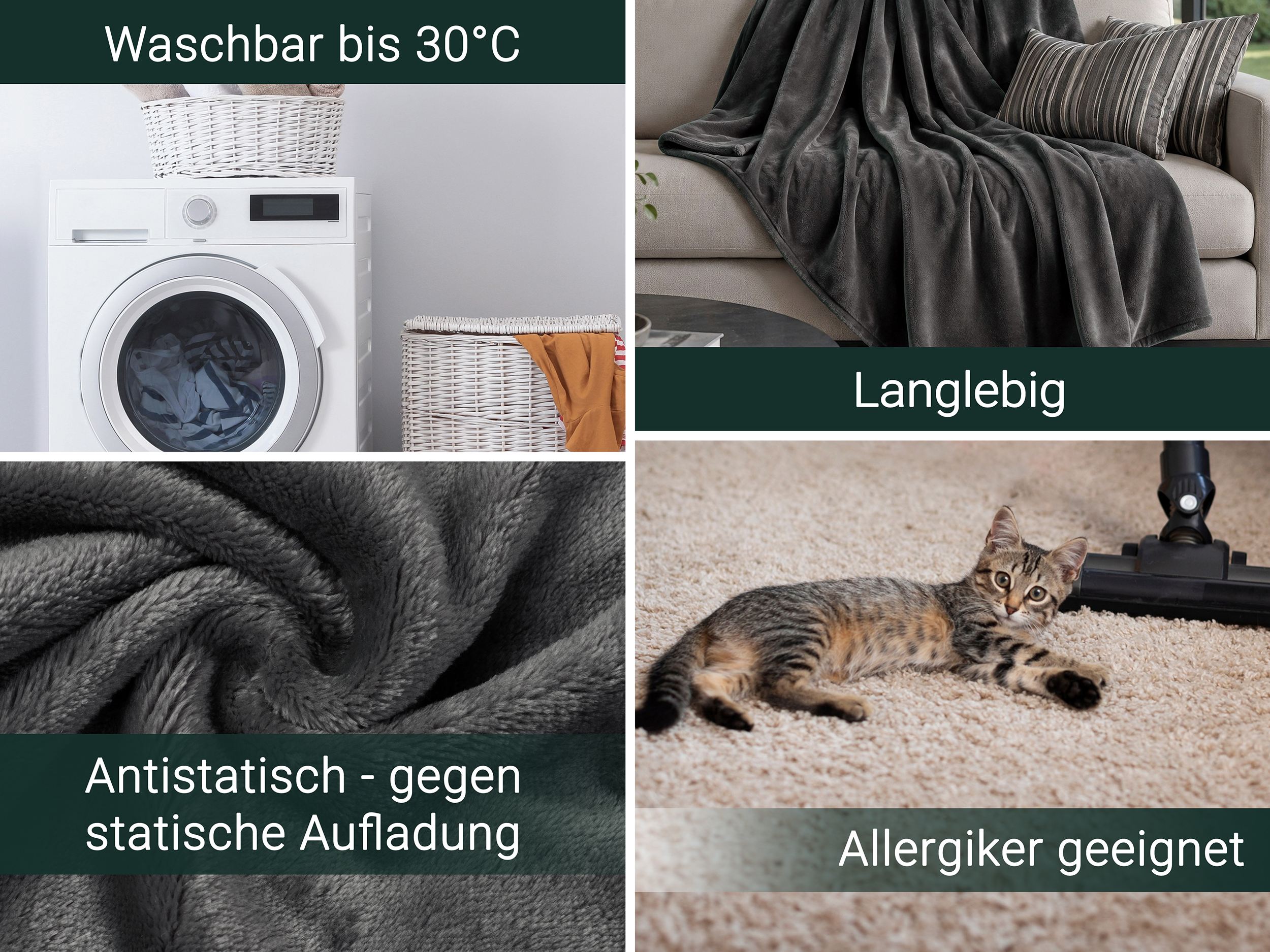 Bild_2